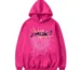 The Pink Sp5der P*NK Hoodie